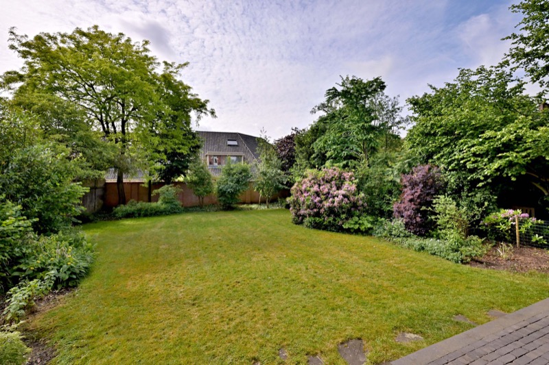 Villa Olanda foto 56